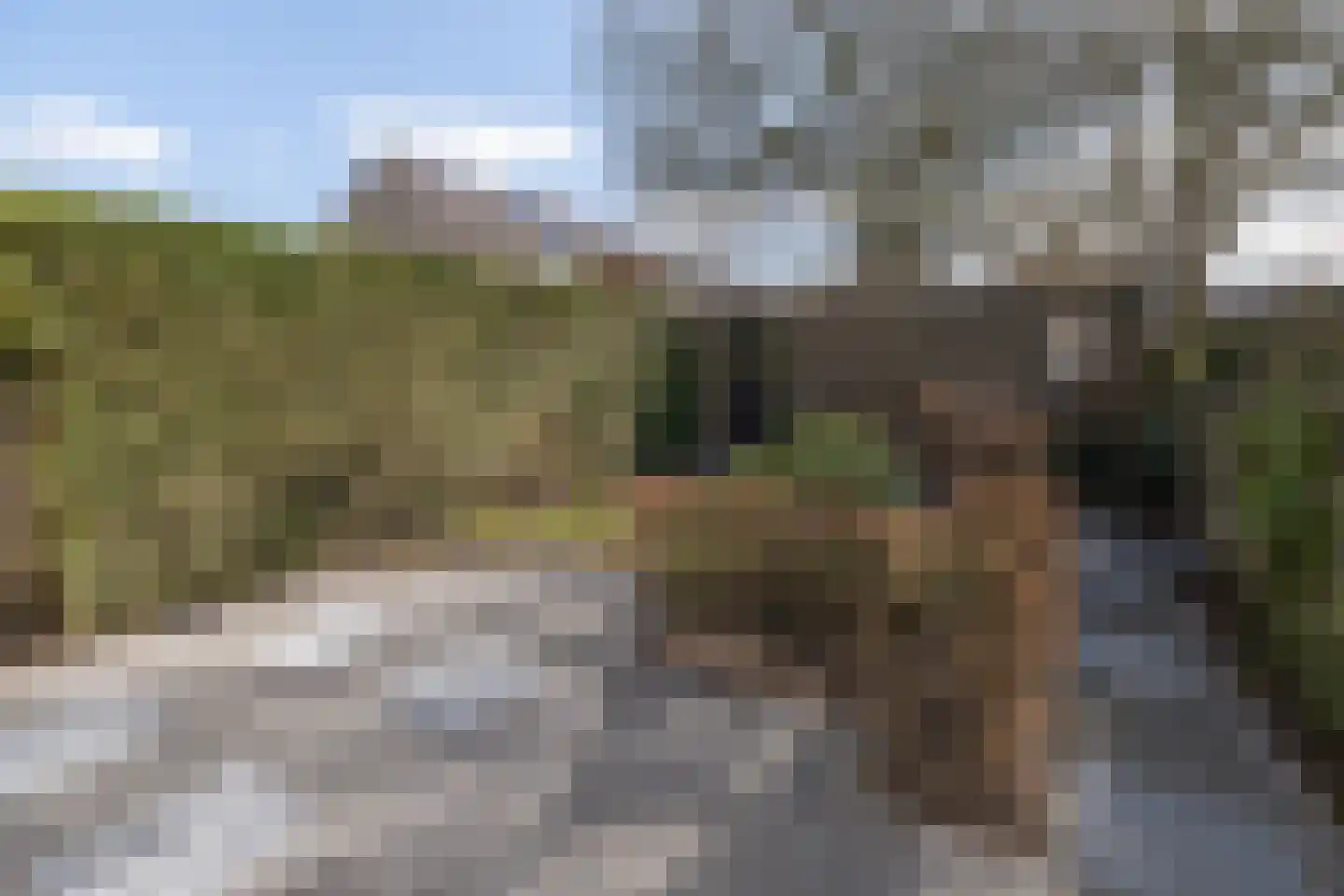 Dr. Albert Schweitzerlaan 78 Barneveld thumbnail 31