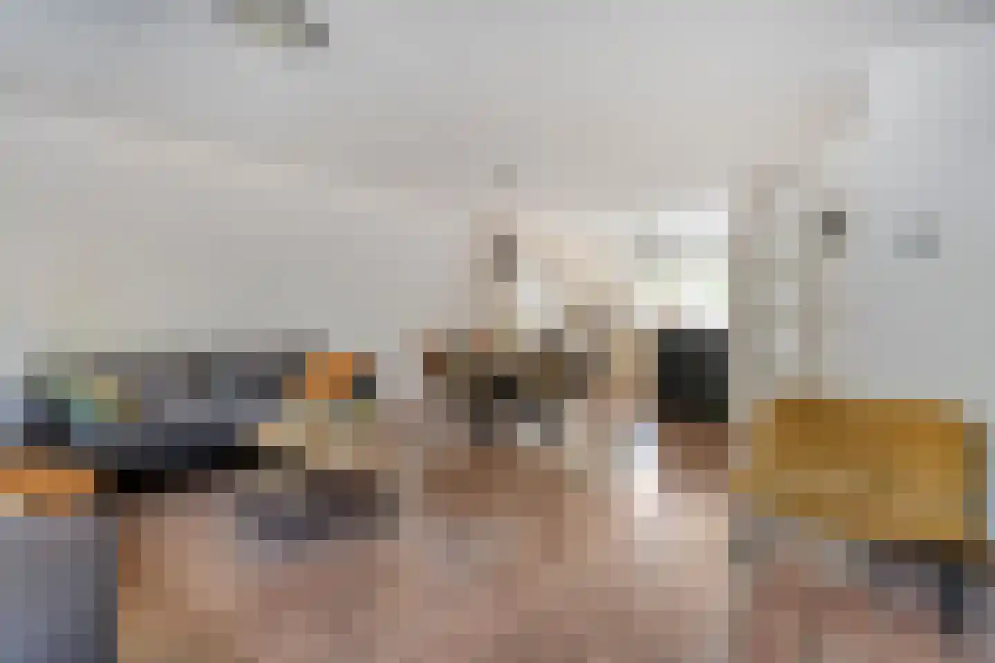 Dr. Albert Schweitzerplein 41 Hardenberg thumbnail 14