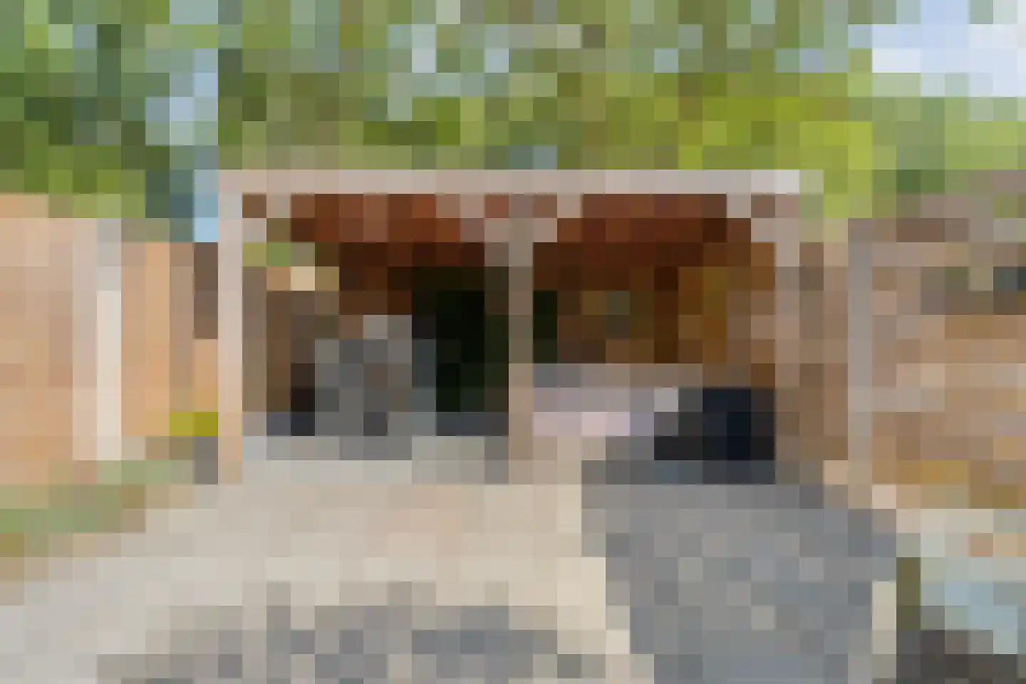 Dr. Albert Schweitzerplein 41 Hardenberg thumbnail 40