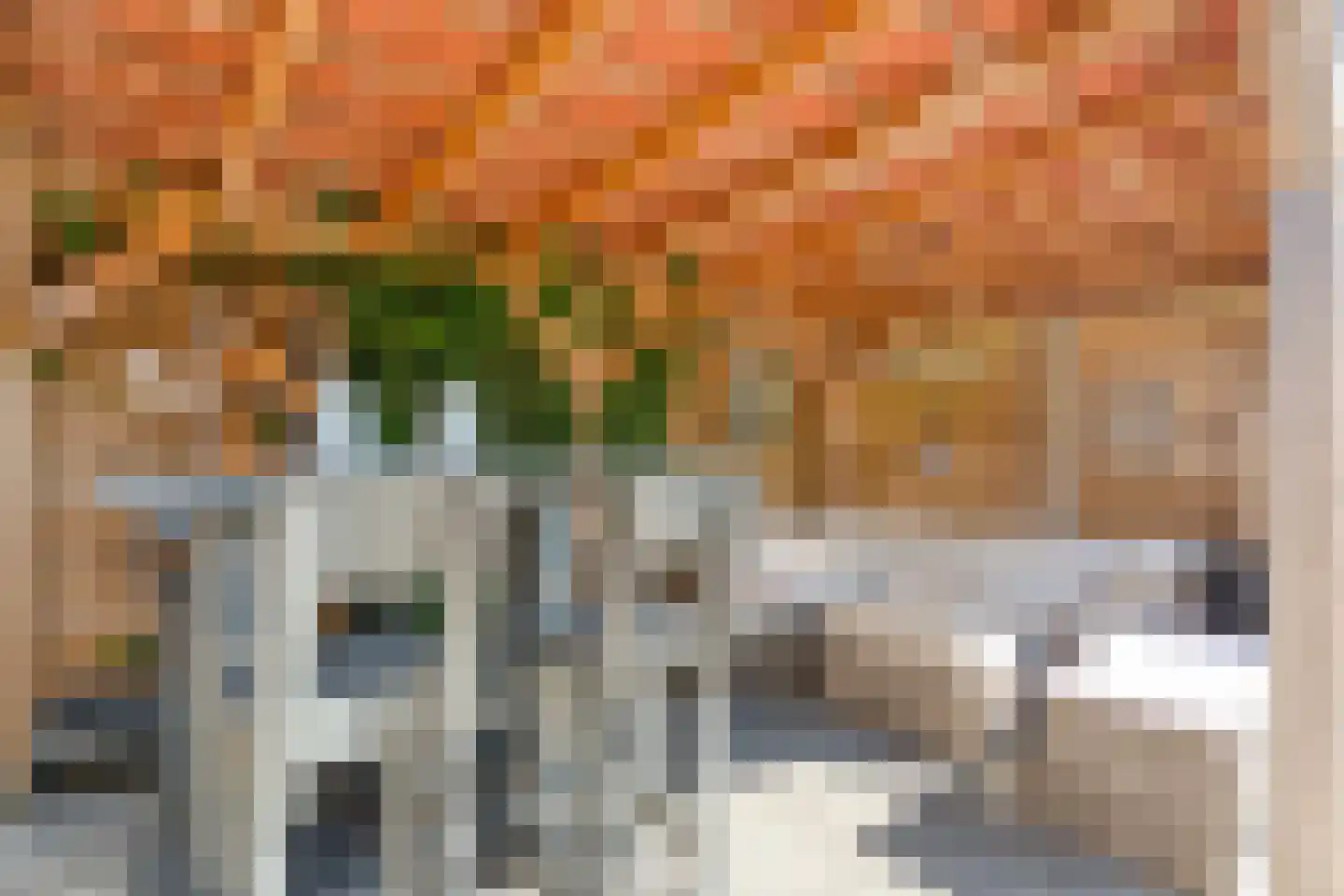 Dr. Albert Schweitzerplein 41 Hardenberg thumbnail 41