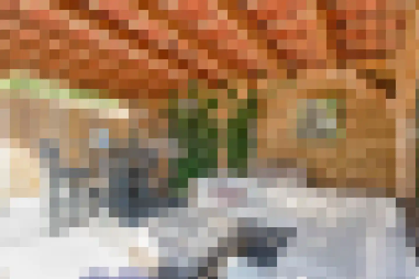 Dr. Albert Schweitzerplein 41 Hardenberg thumbnail 42