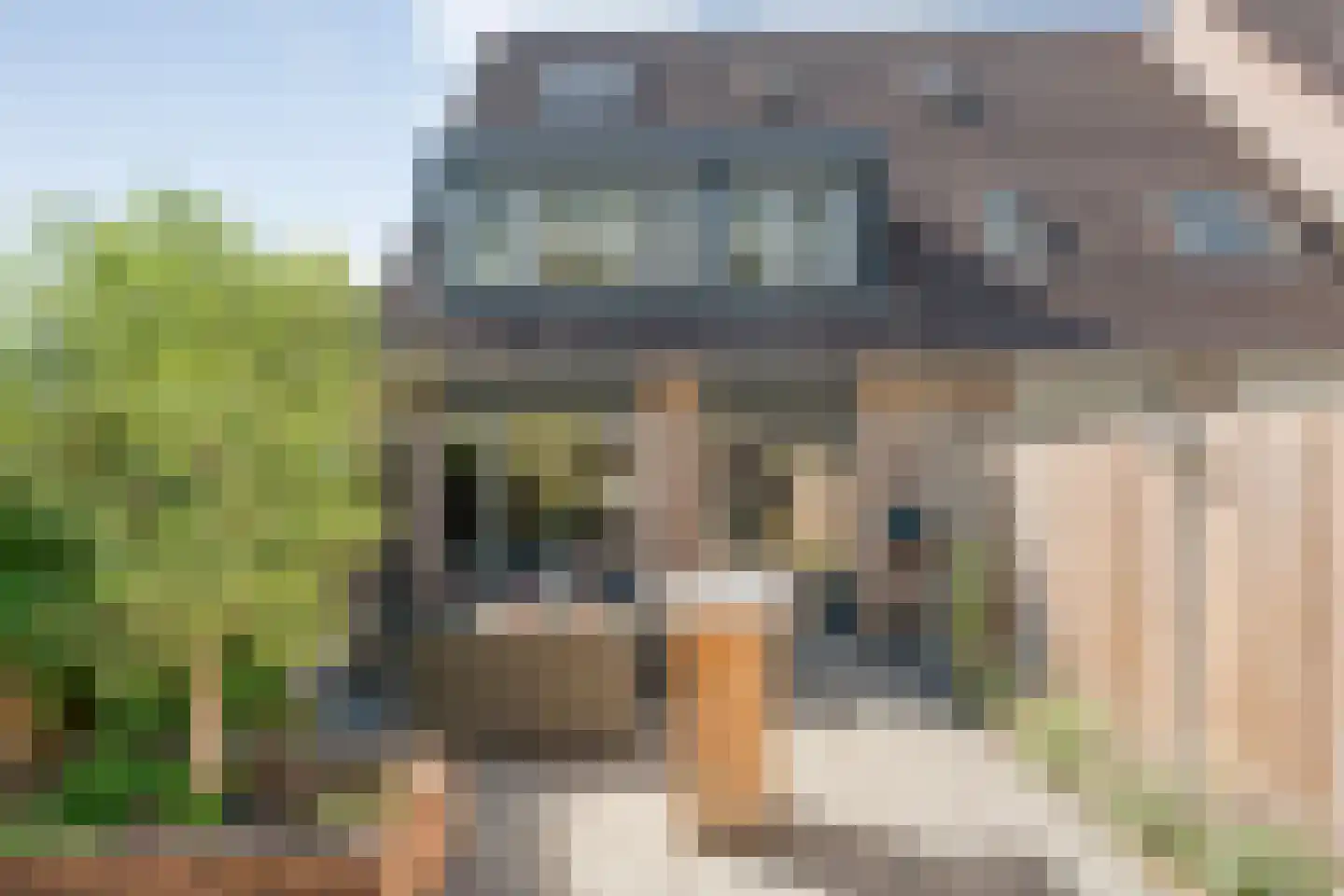 Dr. Albert Schweitzerplein 41 Hardenberg thumbnail 44