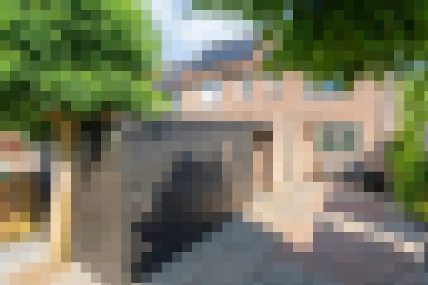 Dr. Albert Schweitzerplein 41 Hardenberg thumbnail 7