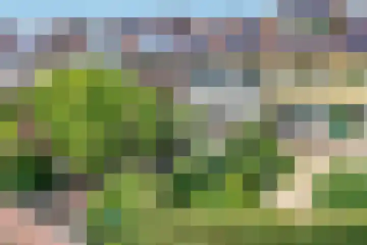 Dr Albert Schweitzerstraat 13 in Bergambacht