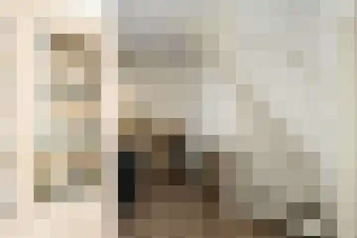 Dr Albert Schweitzerstraat 13 Bergambacht thumbnail 13
