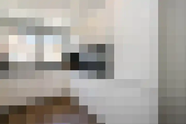 Dr Albert Schweitzerstraat 13 Bergambacht thumbnail 16