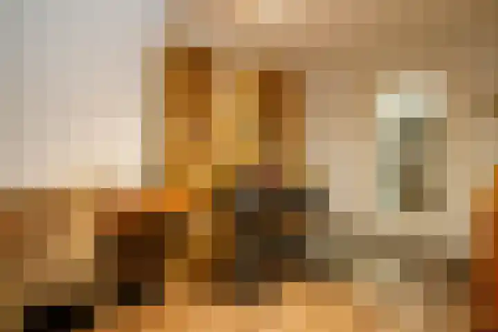 Dr Albert Schweitzerstraat 13 Bergambacht thumbnail 19