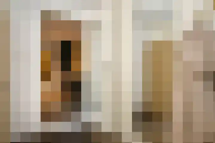 Dr Albert Schweitzerstraat 13 Bergambacht thumbnail 21