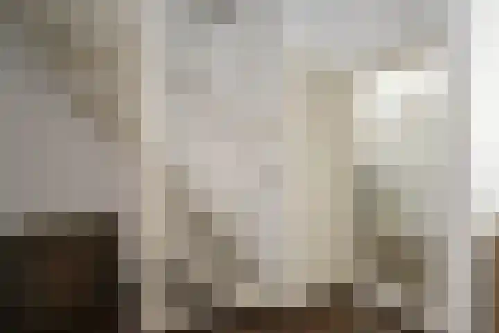 Dr Albert Schweitzerstraat 13 Bergambacht thumbnail 22