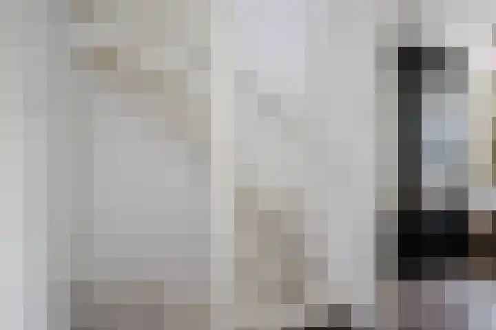 Dr Albert Schweitzerstraat 13 Bergambacht thumbnail 31