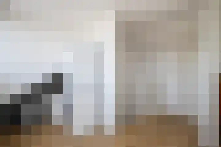 Dr Albert Schweitzerstraat 13 Bergambacht thumbnail 32