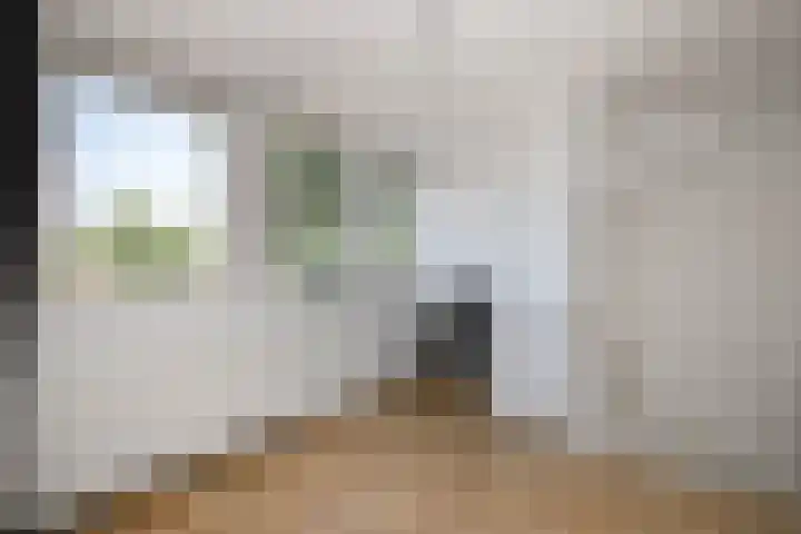 Dr Albert Schweitzerstraat 13 Bergambacht thumbnail 33