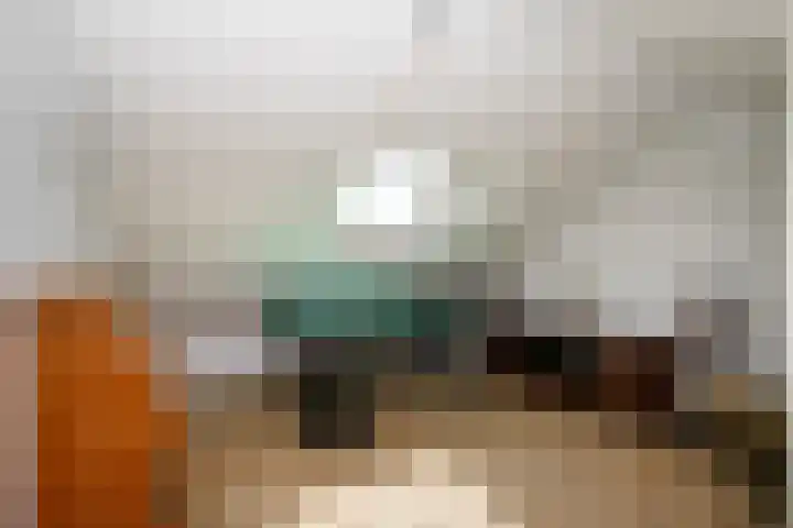 Dr Albert Schweitzerstraat 13 Bergambacht thumbnail 34
