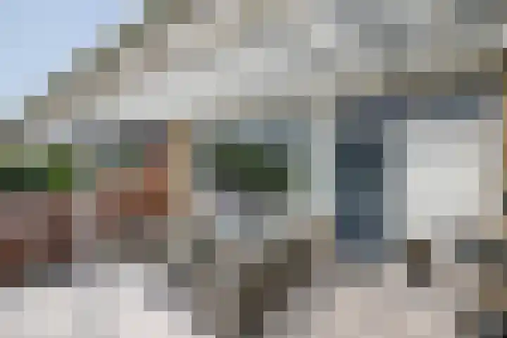 Dr Albert Schweitzerstraat 13 Bergambacht thumbnail 6