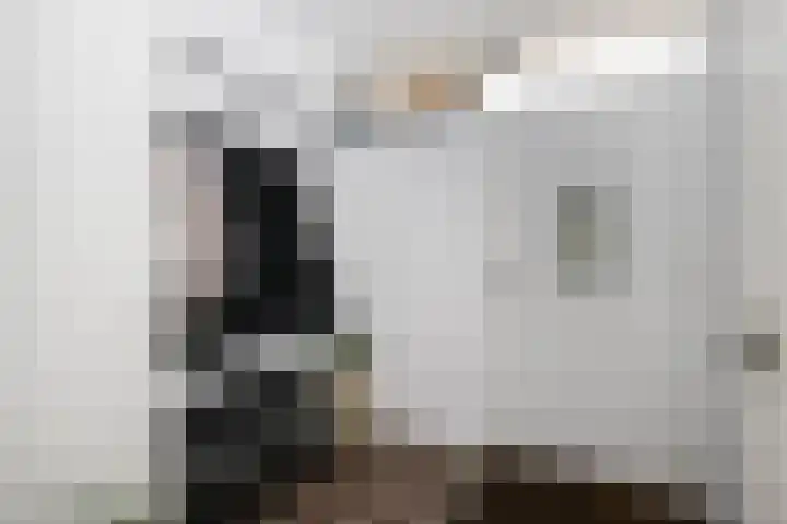 Dr Albert Schweitzerstraat 13 Bergambacht thumbnail 8