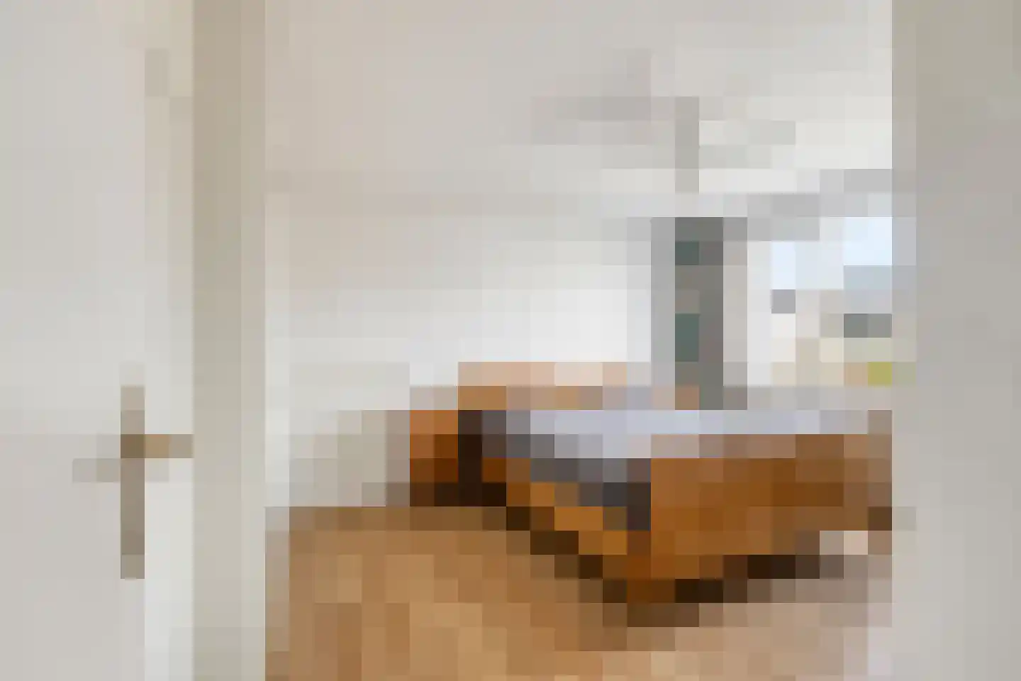 Dr Albert Schweitzerstraat 18 Bergambacht thumbnail 13