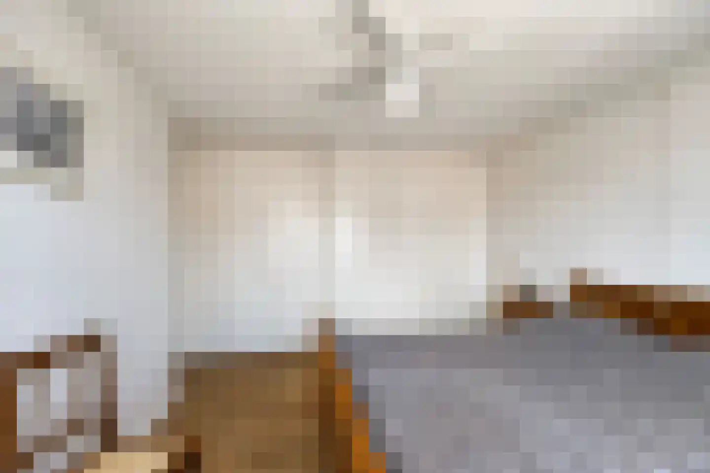 Dr Albert Schweitzerstraat 18 Bergambacht thumbnail 15