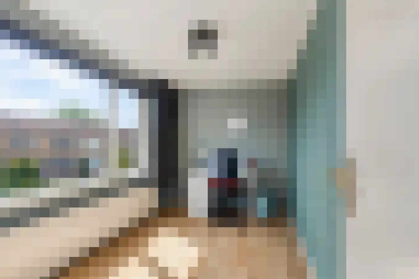 Dr Albert Schweitzerstraat 18 Bergambacht thumbnail 17