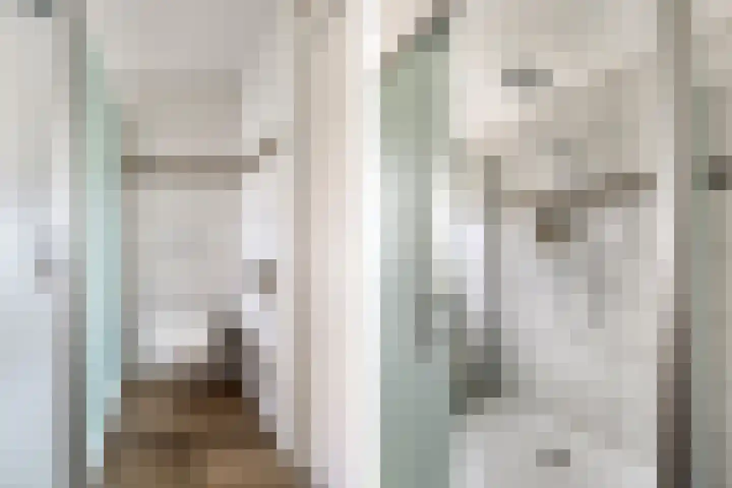 Dr Albert Schweitzerstraat 18 Bergambacht thumbnail 22