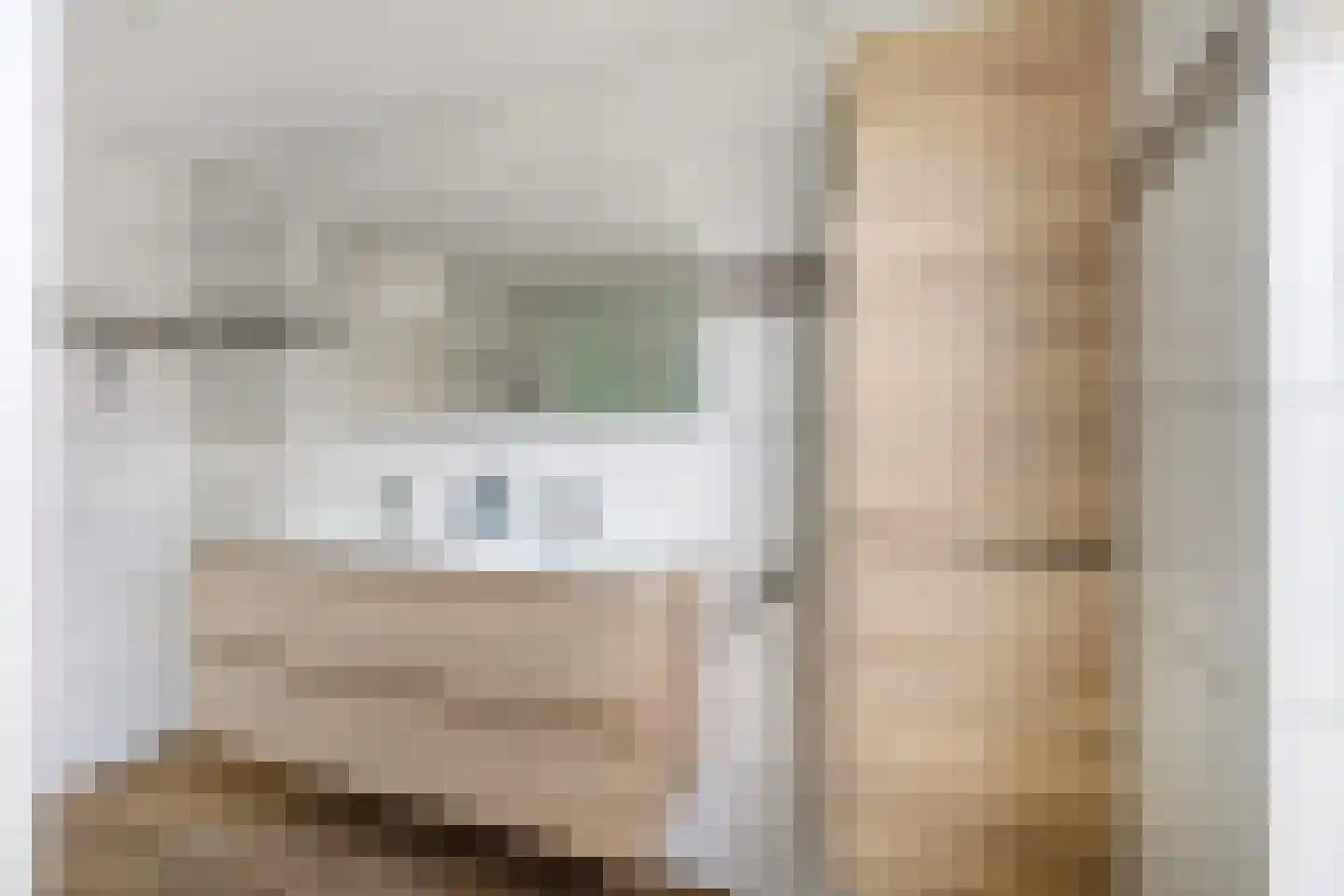 Dr Albert Schweitzerstraat 18 Bergambacht thumbnail 23