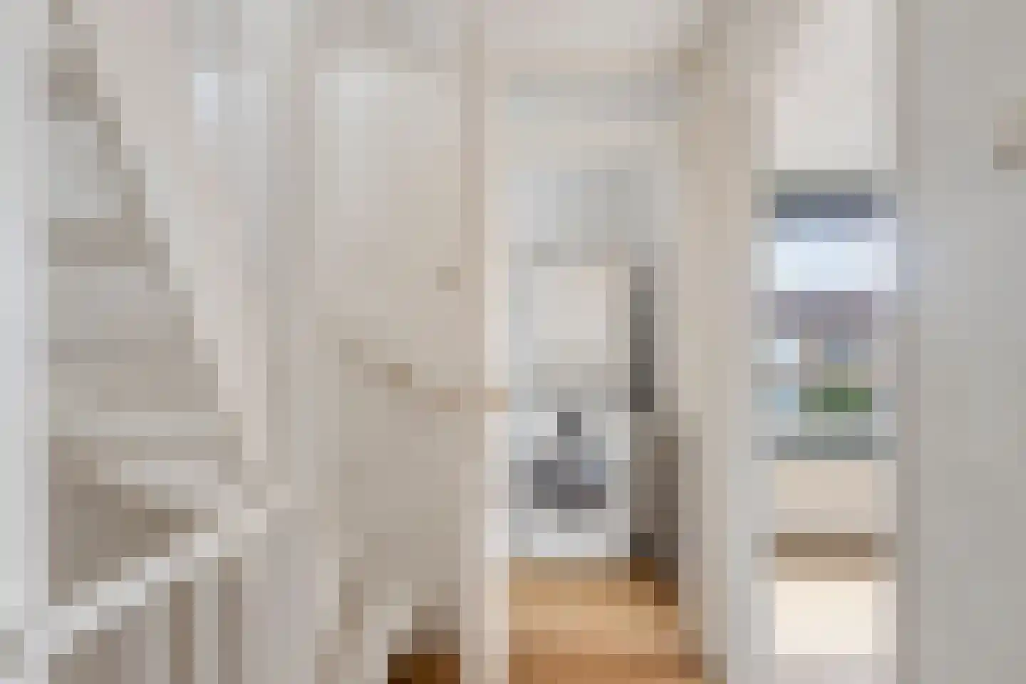 Dr Albert Schweitzerstraat 18 Bergambacht thumbnail 24