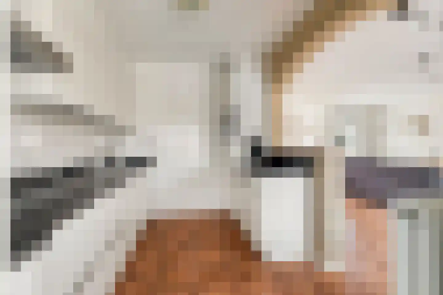 Dr Albert Schweitzerstraat 18 Bergambacht thumbnail 5