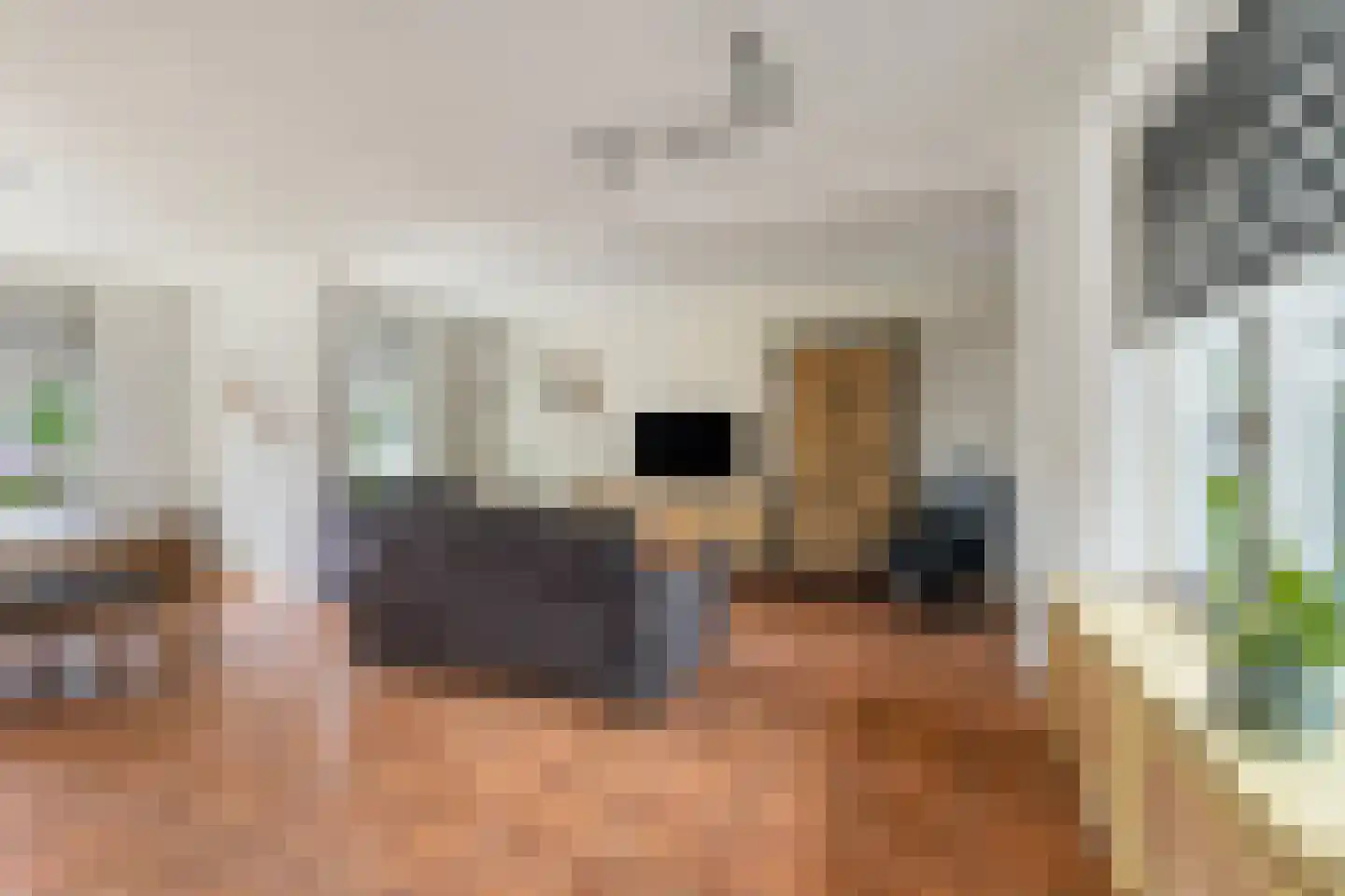 Dr Albert Schweitzerstraat 18 Bergambacht thumbnail 7