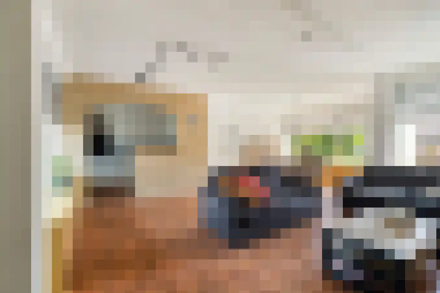 Dr Albert Schweitzerstraat 18 Bergambacht thumbnail 8