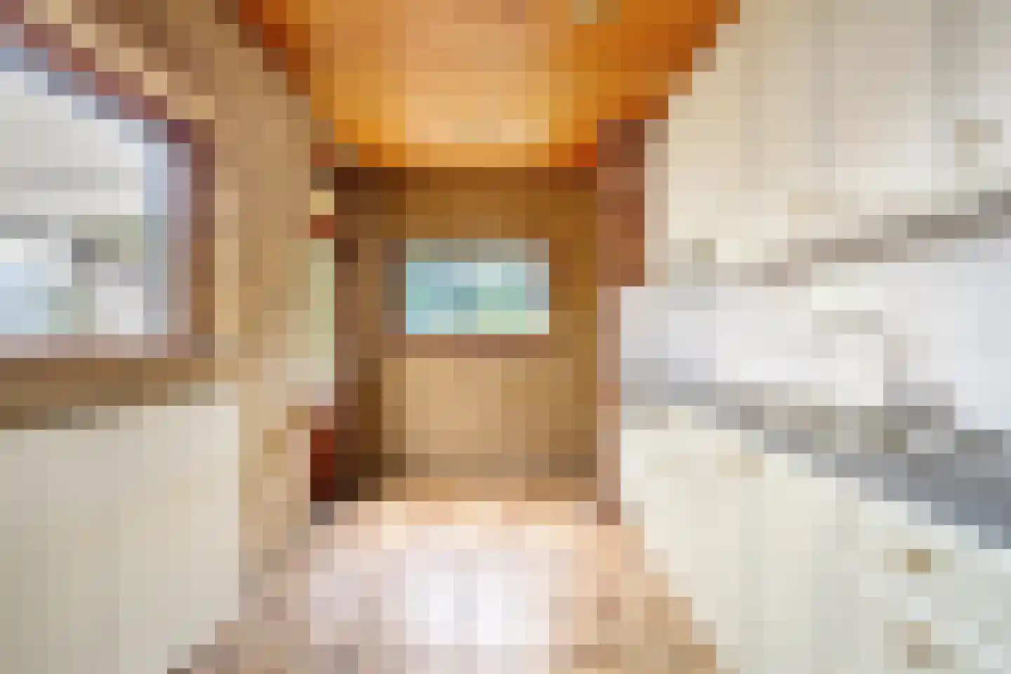 Dr. Albert Schweitzerstraat 42 Hoensbroek thumbnail 13