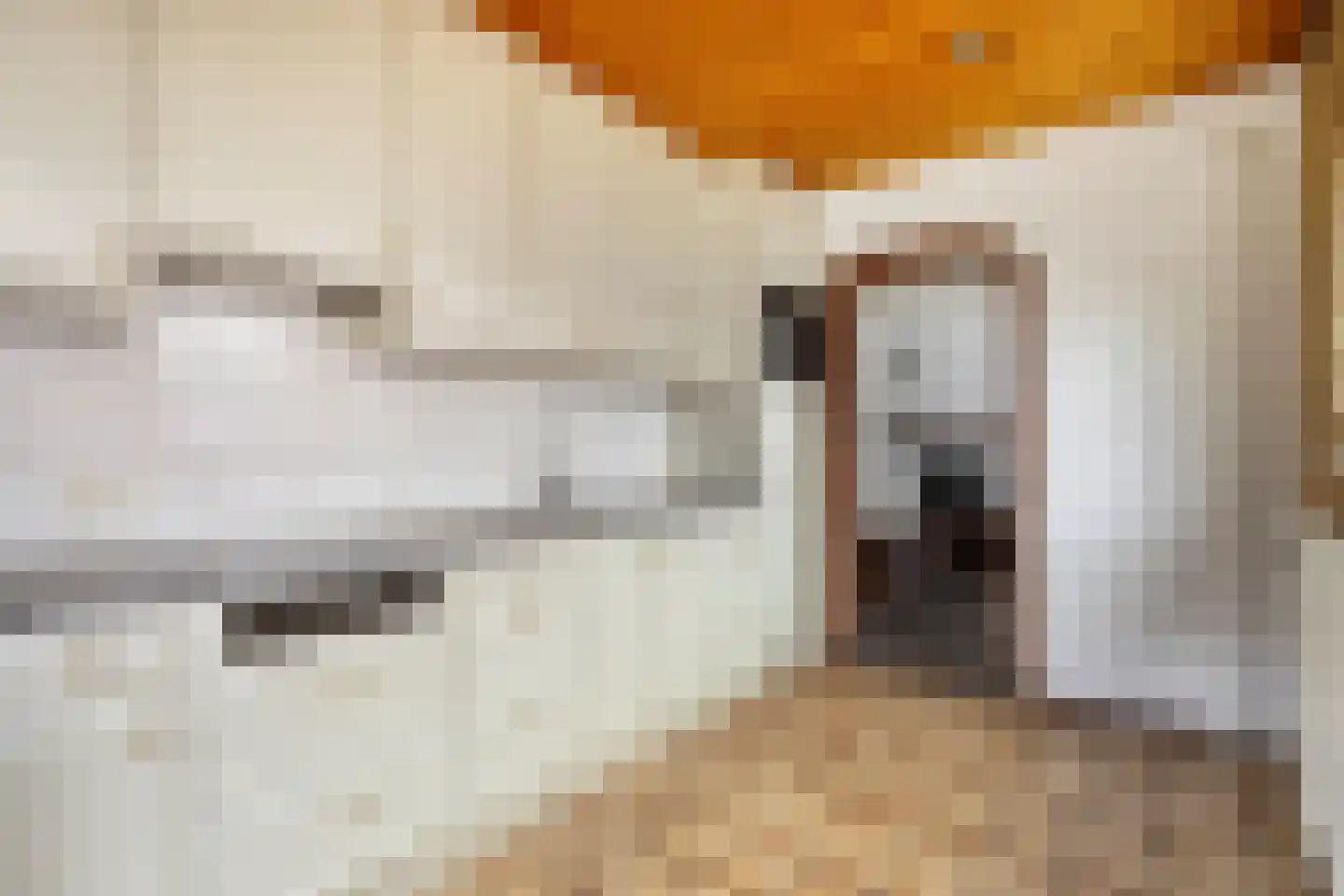 Dr. Albert Schweitzerstraat 42 Hoensbroek thumbnail 15
