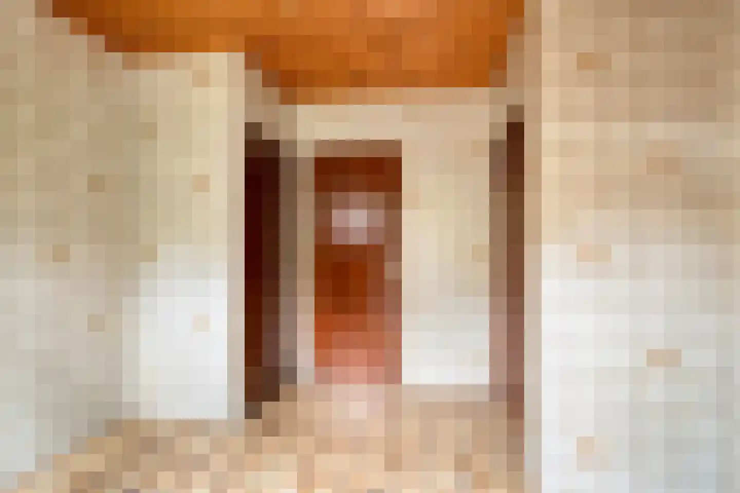 Dr. Albert Schweitzerstraat 42 Hoensbroek thumbnail 16