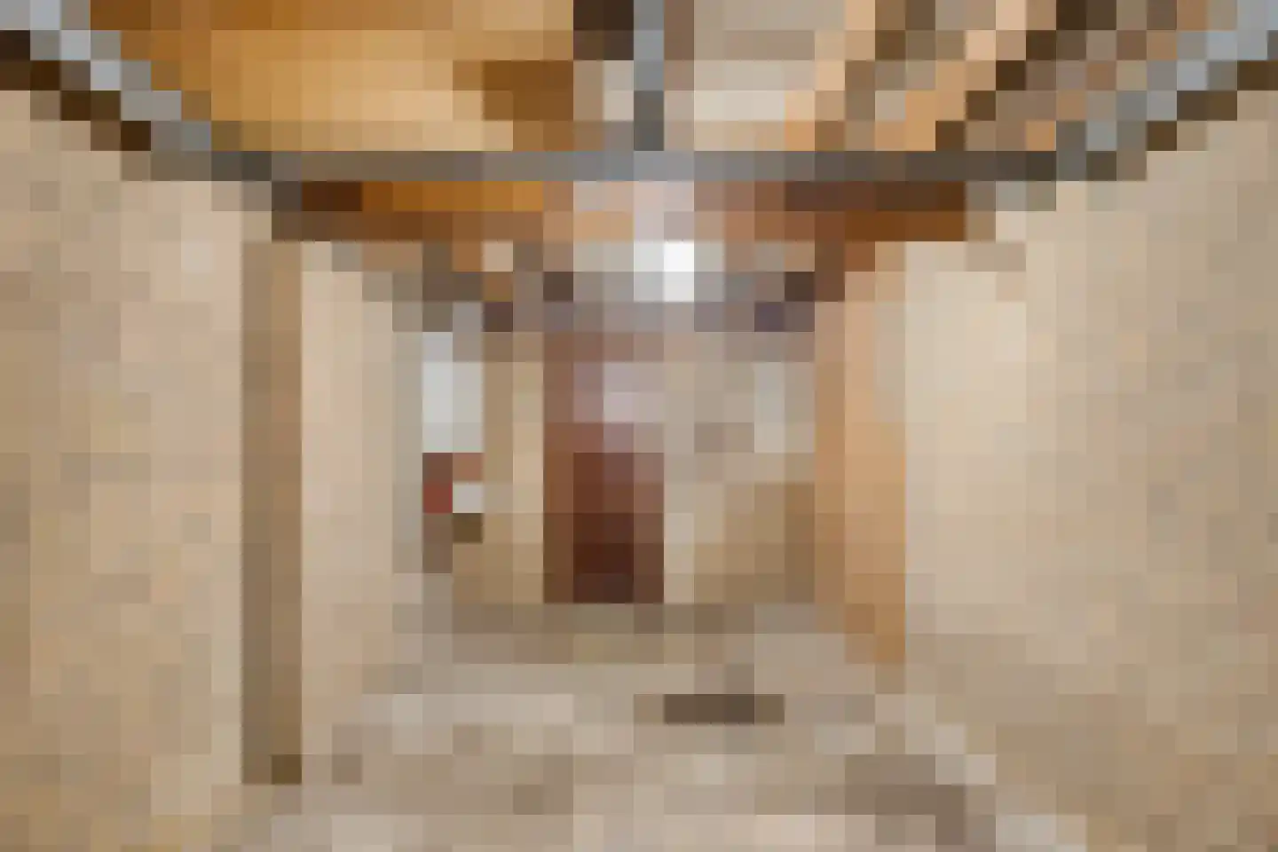 Dr. Albert Schweitzerstraat 42 Hoensbroek thumbnail 19