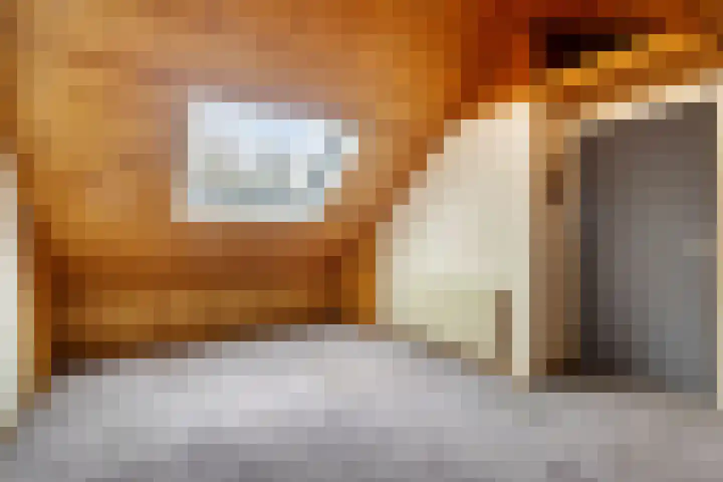 Dr. Albert Schweitzerstraat 42 Hoensbroek thumbnail 30