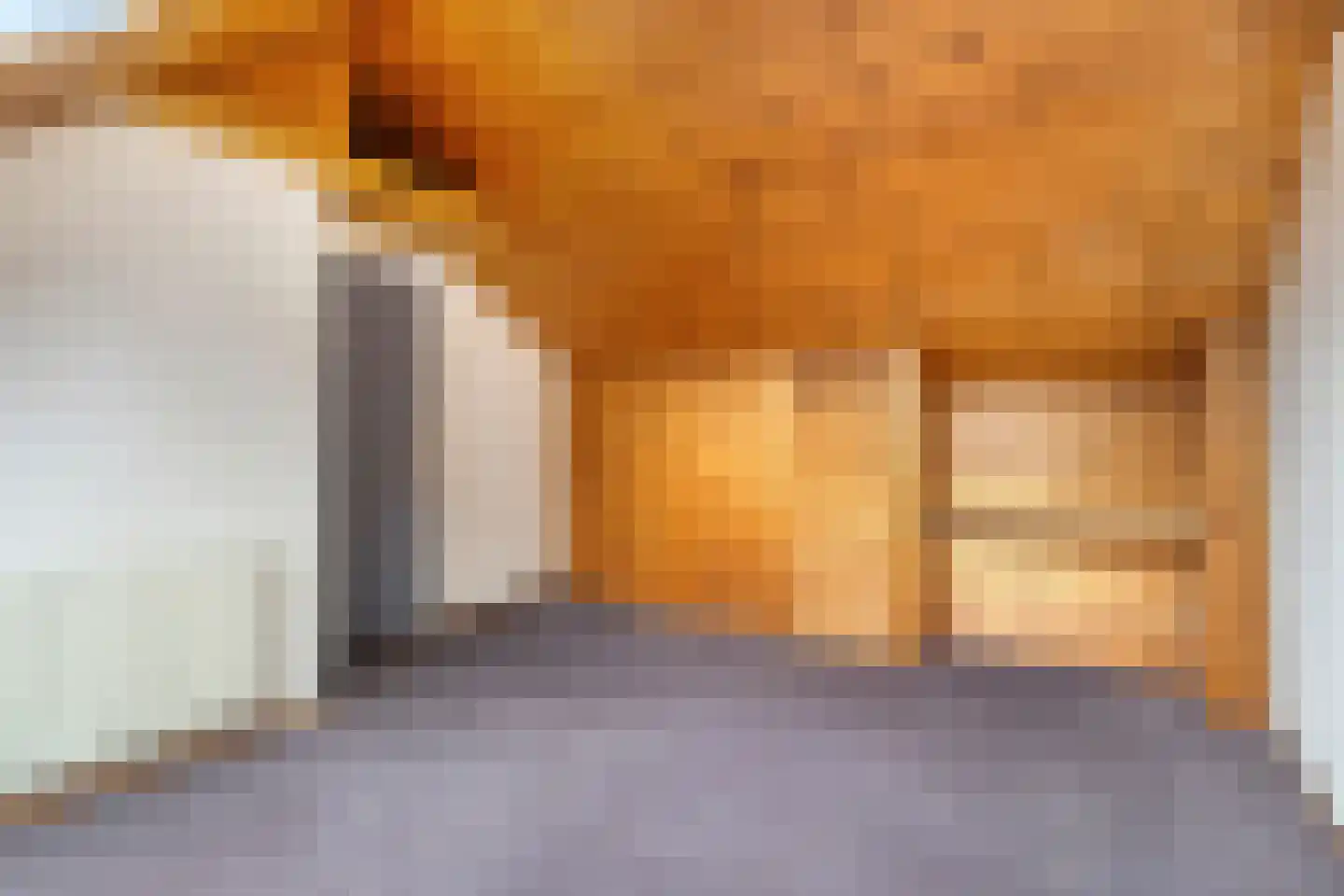 Dr. Albert Schweitzerstraat 42 Hoensbroek thumbnail 31