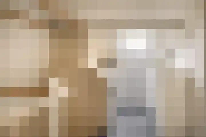 Dr Albert Schweitzerstraat 51 Bergambacht thumbnail 31