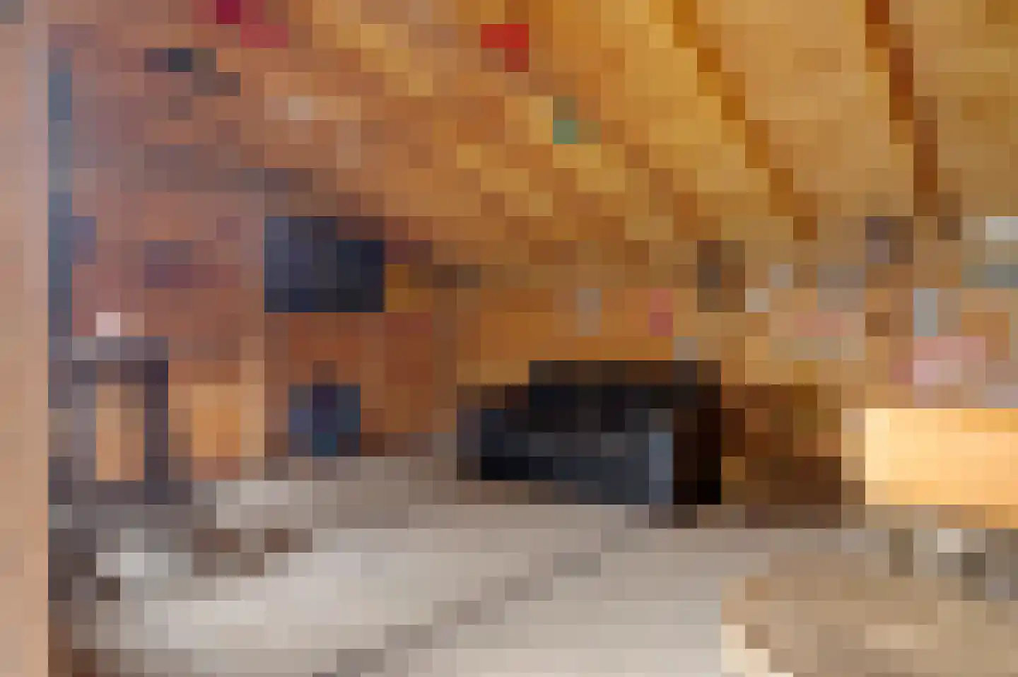 Dr. Aletta Jacobsstraat 19 Sappemeer thumbnail 22