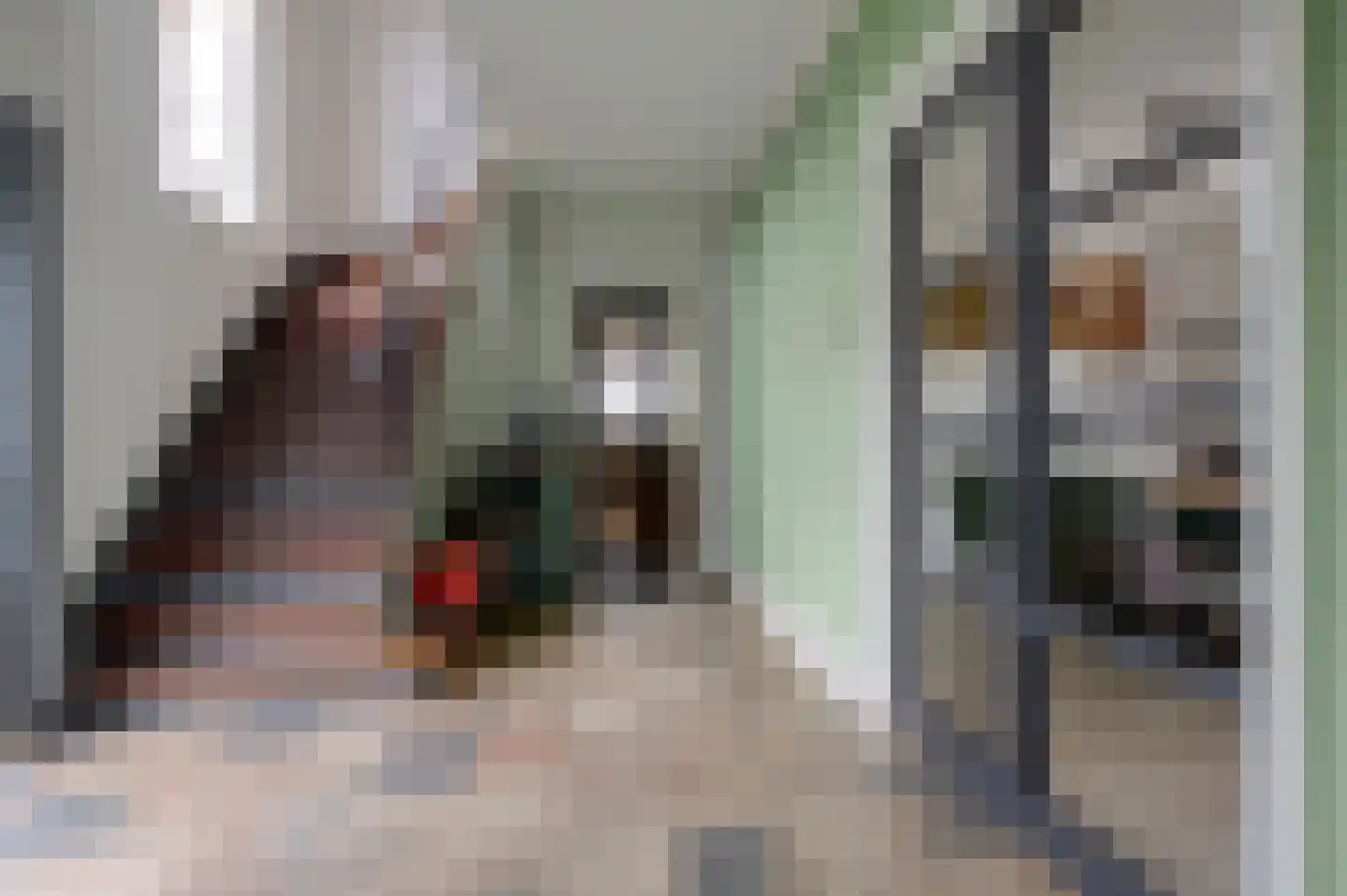 Dr. Aletta Jacobsstraat 19 Sappemeer thumbnail 27