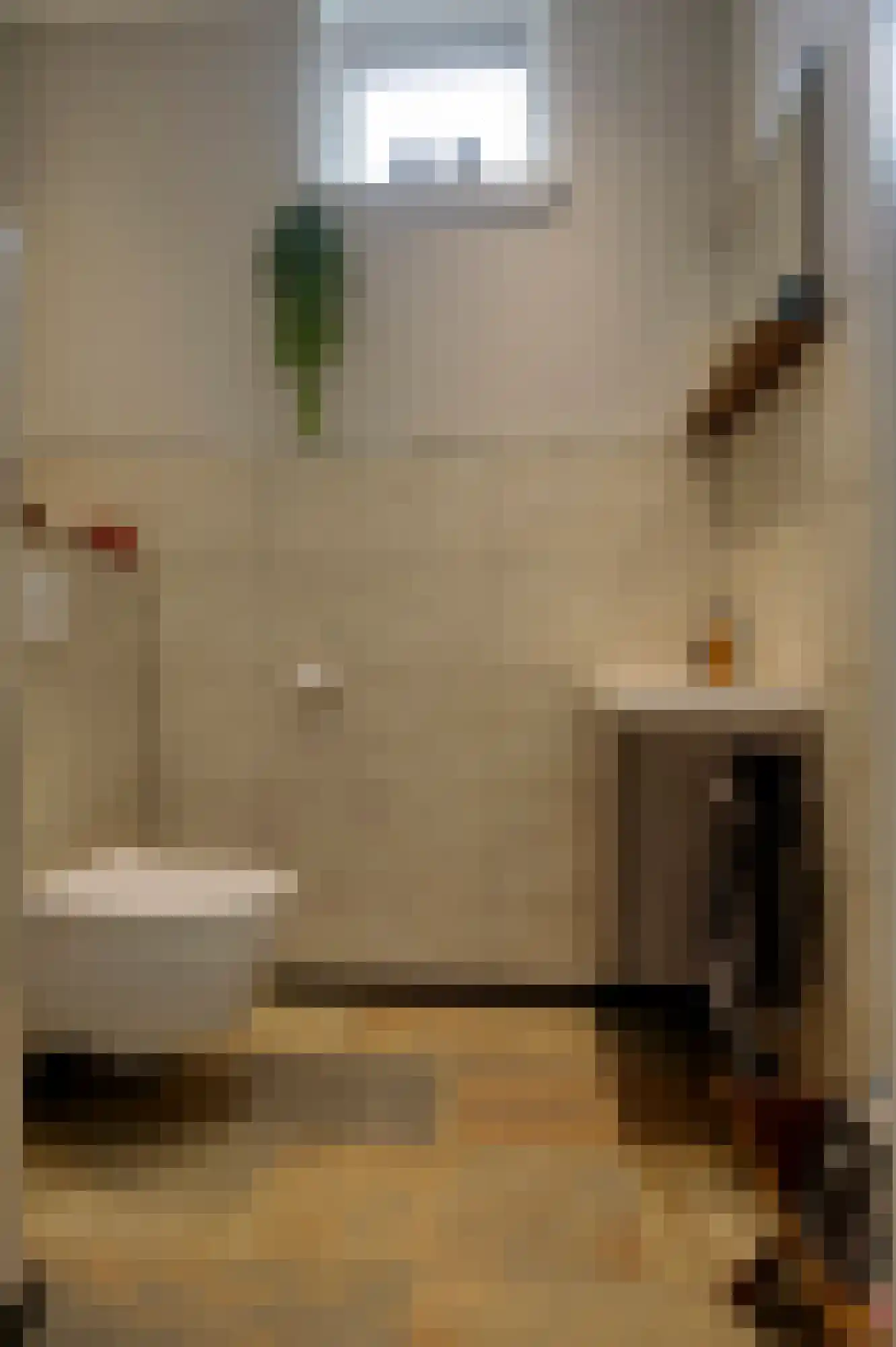 Dr. Aletta Jacobsstraat 19 Sappemeer thumbnail 29
