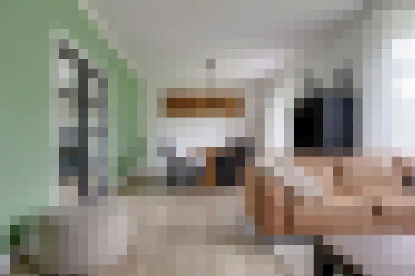 Dr. Aletta Jacobsstraat 19 Sappemeer thumbnail 33