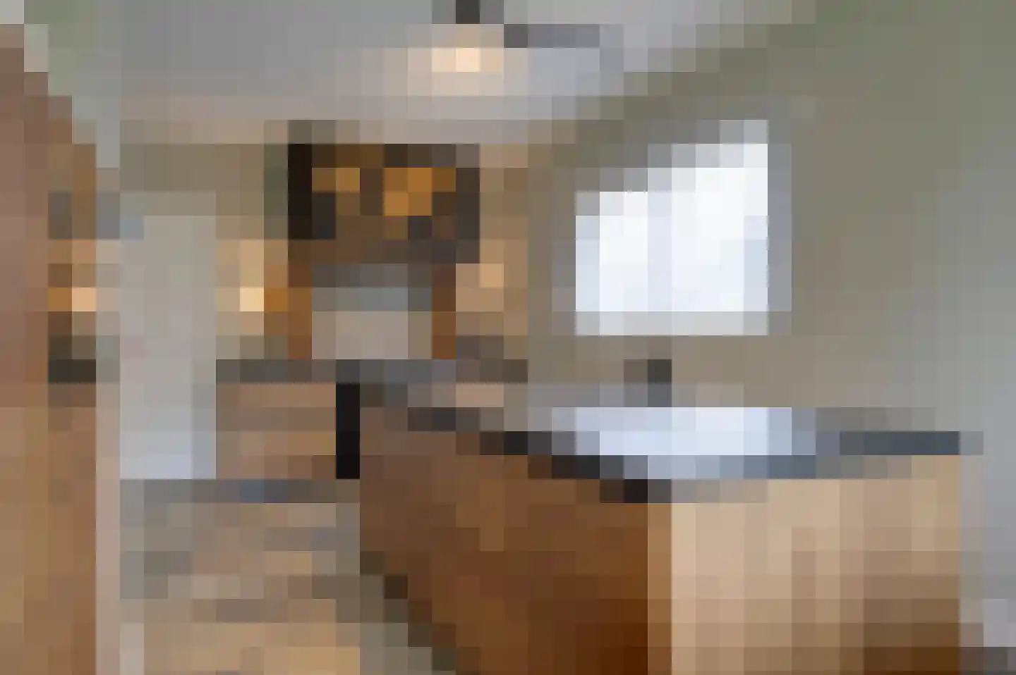 Dr. Aletta Jacobsstraat 19 Sappemeer thumbnail 38