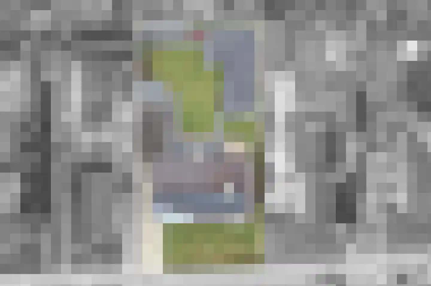 Dr. Aletta Jacobsstraat 19 Sappemeer thumbnail 4
