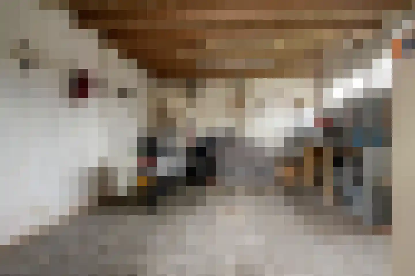 Dr. Aletta Jacobsstraat 19 Sappemeer thumbnail 59