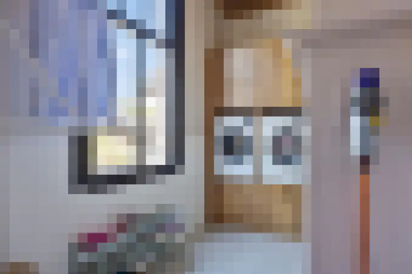 Dr. Alfons Ariënsstraat 19 Steenderen thumbnail 17
