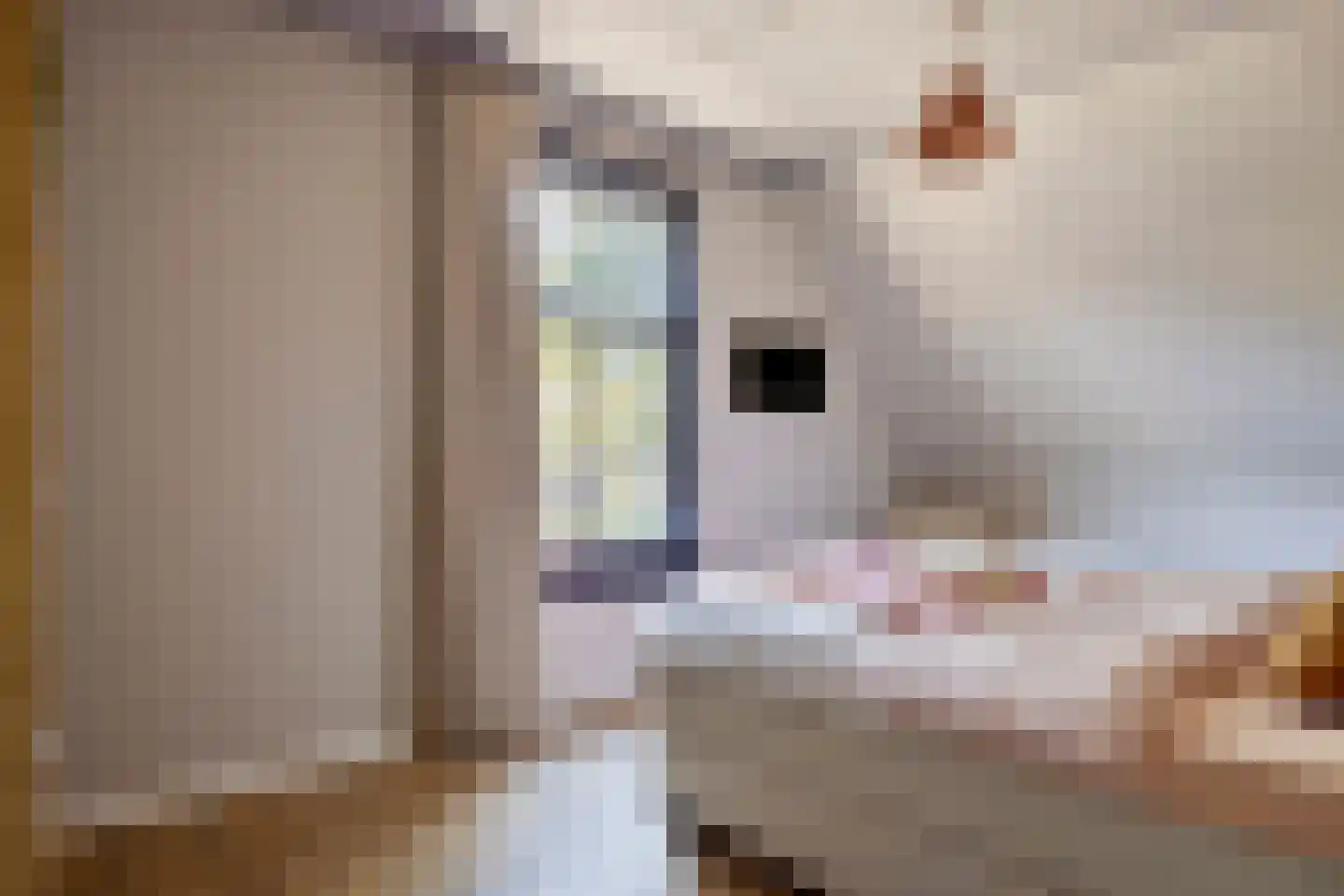 Dr. Alfons Ariënsstraat 19 Steenderen thumbnail 20