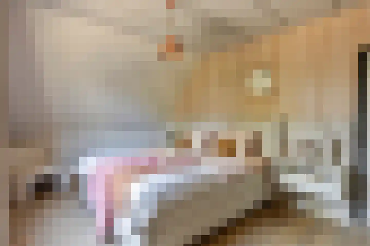 Dr. Alfons Ariënsstraat 19 Steenderen thumbnail 21