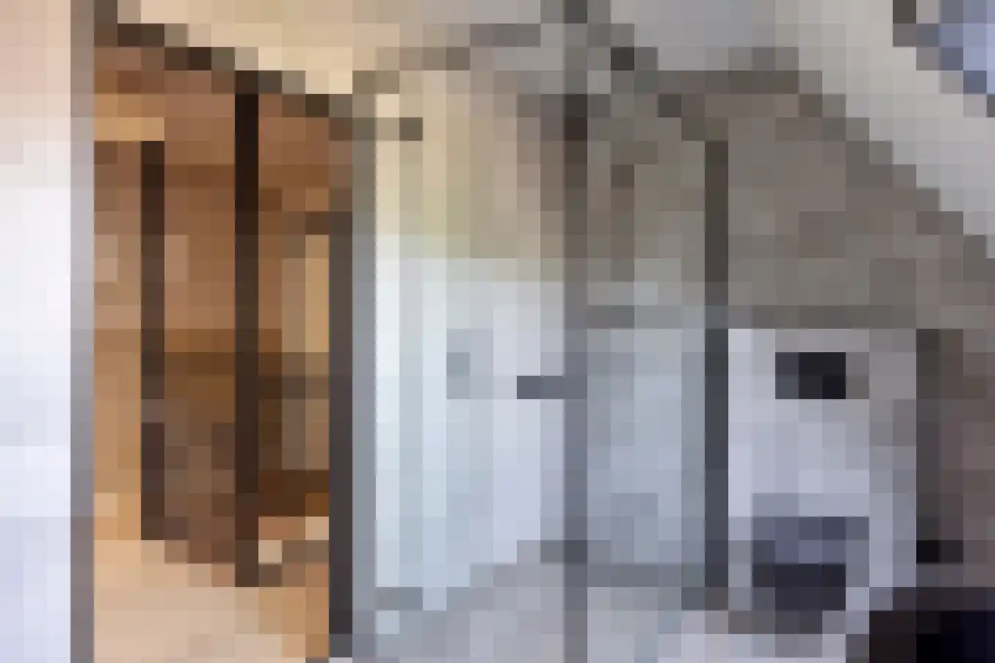 Dr. Alfons Ariënsstraat 19 Steenderen thumbnail 23