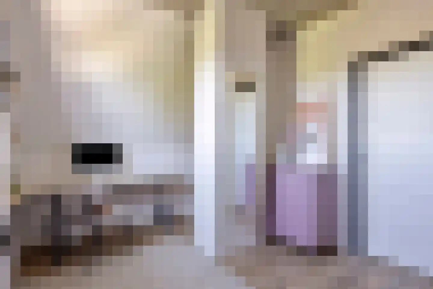 Dr. Alfons Ariënsstraat 19 Steenderen thumbnail 27