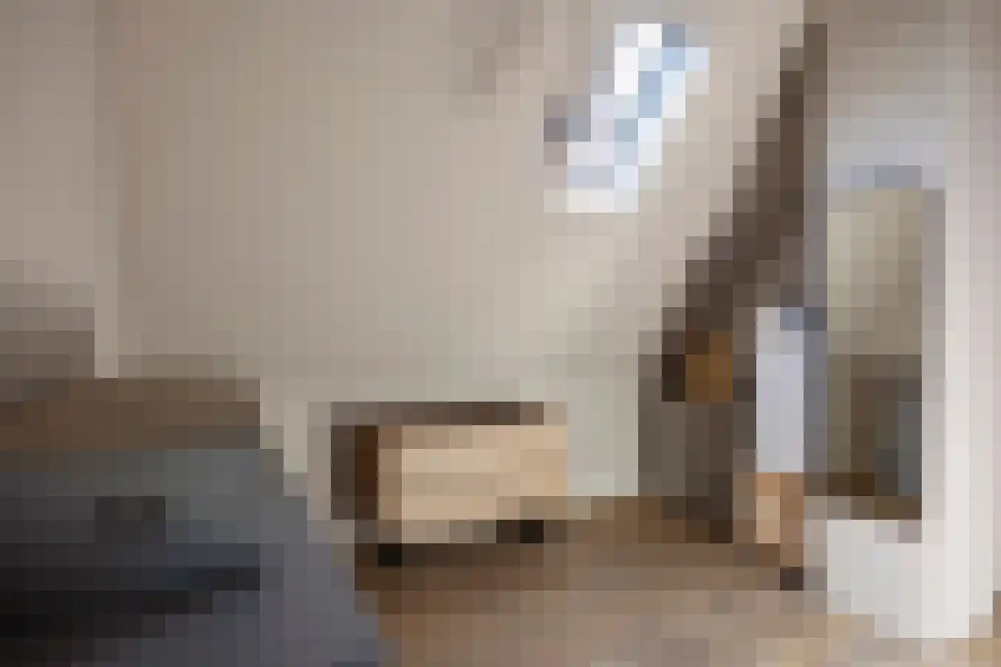 Dr. Alfons Ariënsstraat 19 Steenderen thumbnail 30
