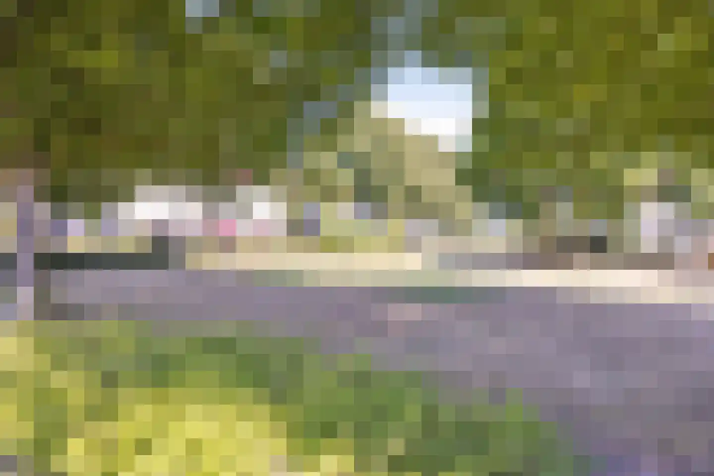 Dr. Alfons Ariënsstraat 19 Steenderen thumbnail 47