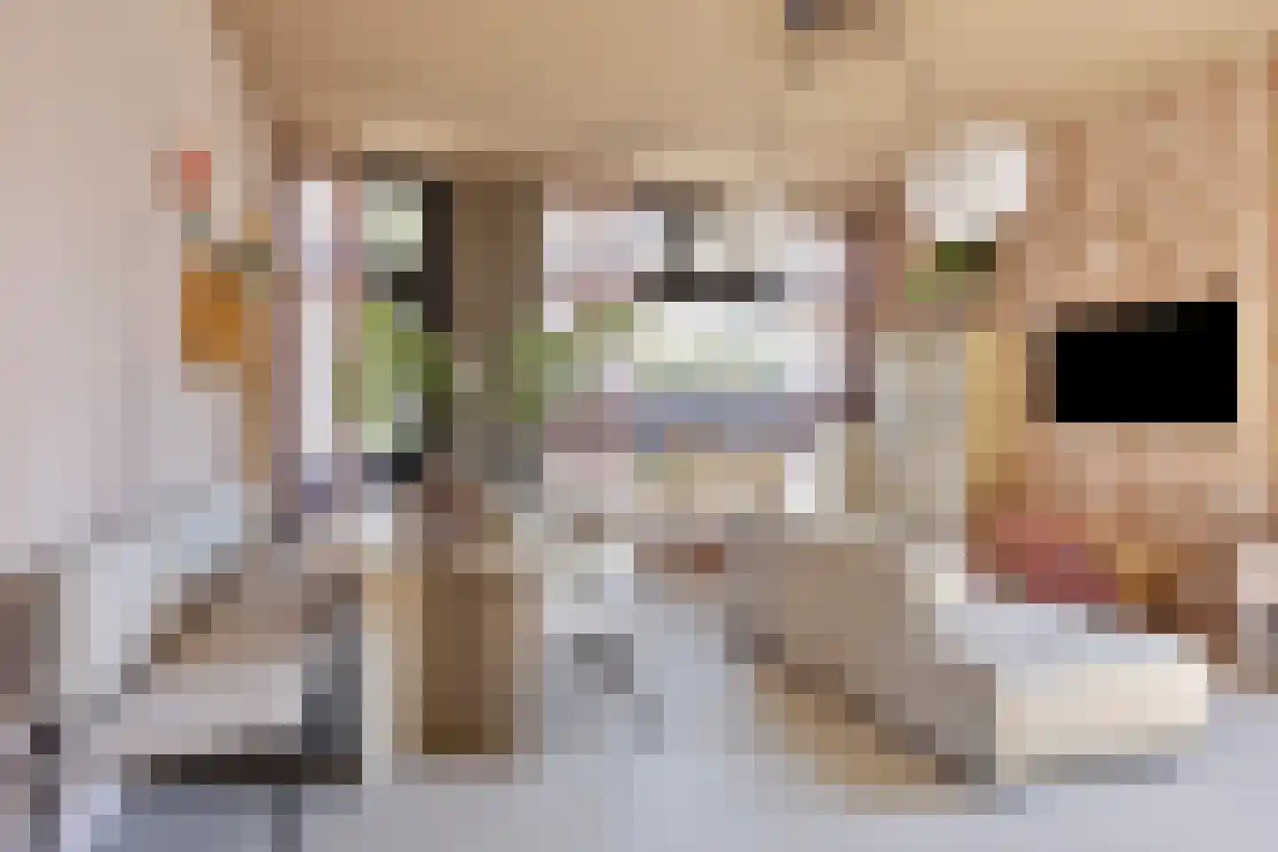 Dr. Alfons Ariënsstraat 19 Steenderen thumbnail 5